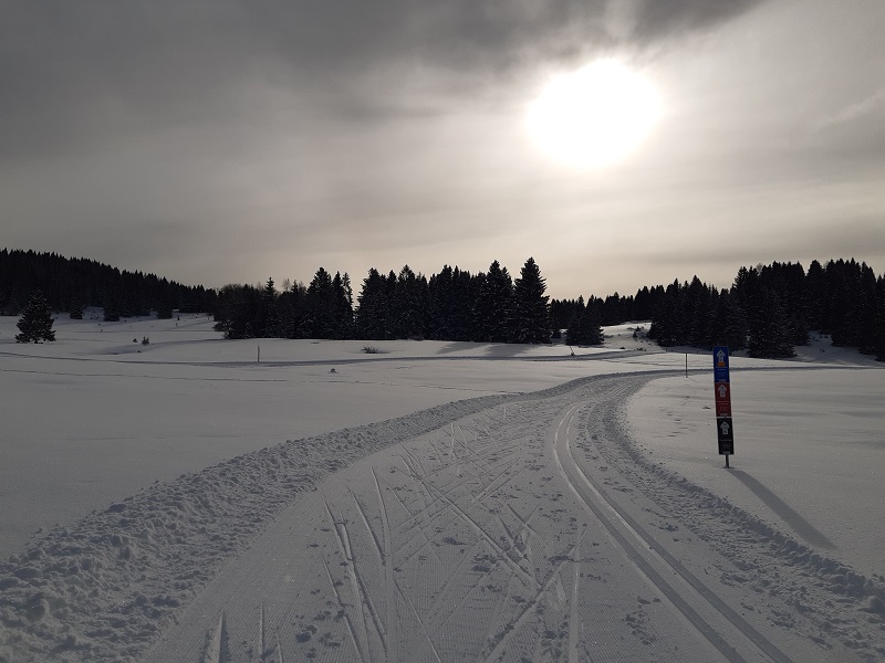 Piste sci di fondo a Millegrobbe