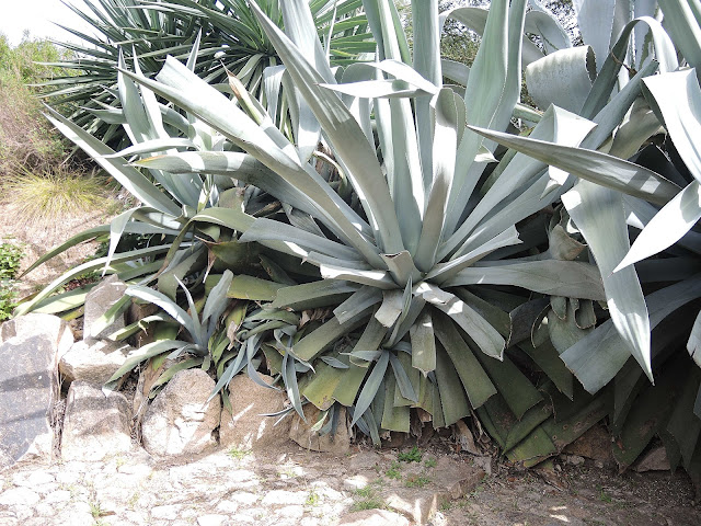 Portugal: De tuin van het paleis van Monseratte in Sintra