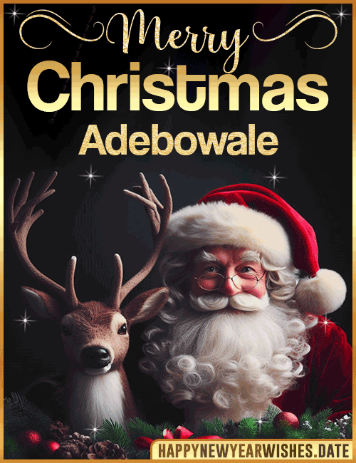 Merry Christmas gif Adebowale