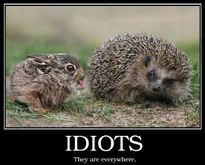 Idiots Demotivational Poster