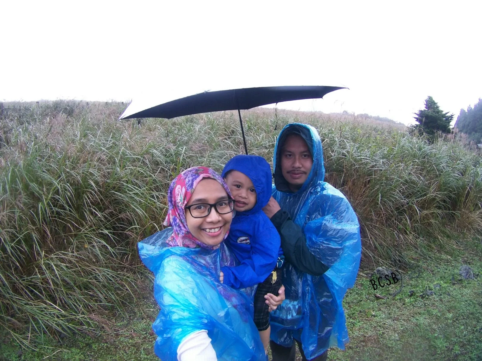 Pengalaman Melawat Sangumburi Crater Jeju Island