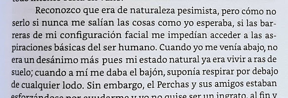 Reconozco que era de naturaleza pesimista, pero cómo no serlo si nunca me salían las cosas como yo esperaba, si las barreras de mi configuración facial me impedían acceder a las aspiraciones básicas del ser humano. Cuando yo me venía abajo, no era un desánimo más pues mi estado natural ya era vivir a ras de suelo; cuando a mí me daba el bajón, suponía respirar por debajo de cualquier lodo. (Fragmento de la novela Gabriel Suspira)