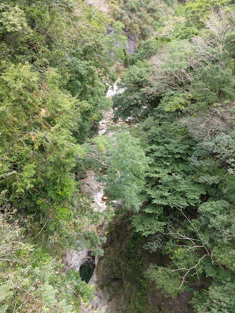 巴達岡二號吊橋看下溪谷