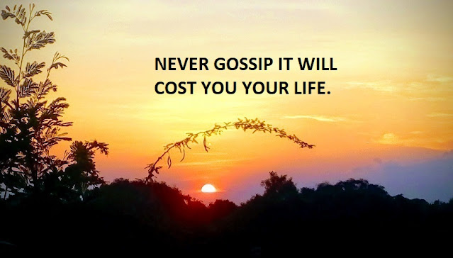 NEVER GOSSIP IT WILL COST YOU YOUR LIFE.