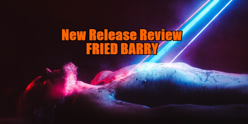 fried barry review