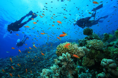 Pondicherry Scuba Diving