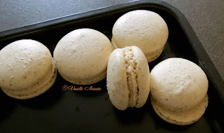 Macarons cacahuète, noisette, noix de pécan et noix de coco