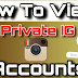 View Private Instagram Profiles Online