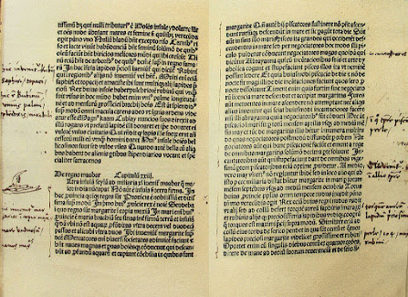 Imagen: El ejemplar del la traducción al latín de Francesco Pipino anotado por Cristóbal Colón.