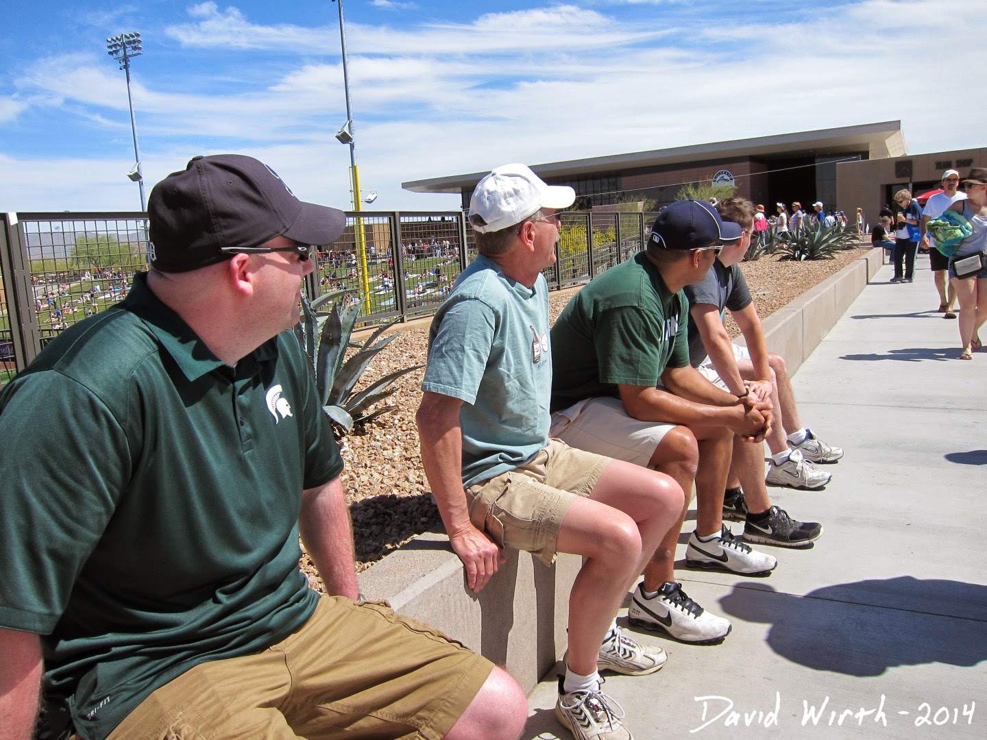 watching spring training baseball