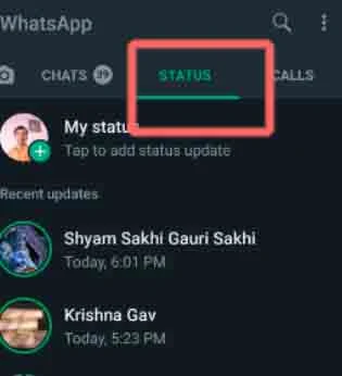 Whatsapp Status Checking