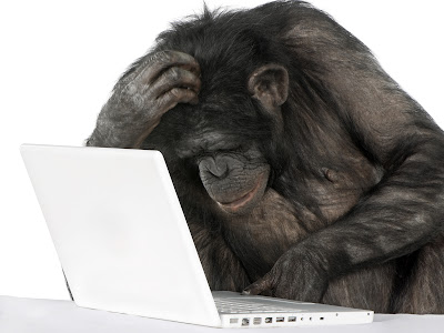  animal, ape, black, blank, bonobo, challenge, chimpanzee, clever, communication, computer, concepts, cut out, defy, discover, discovery, education, empty, exercising, experience, ideas, intelligence, internet, isolated, isolated on white, keyboard, laptop, learning, looking, monkey, pan, paniscus, pc, pensive, playing, screen, shot, simia troglodytes, smartness, technology, thinking, using, watching, white, white background, wild, wireless, working