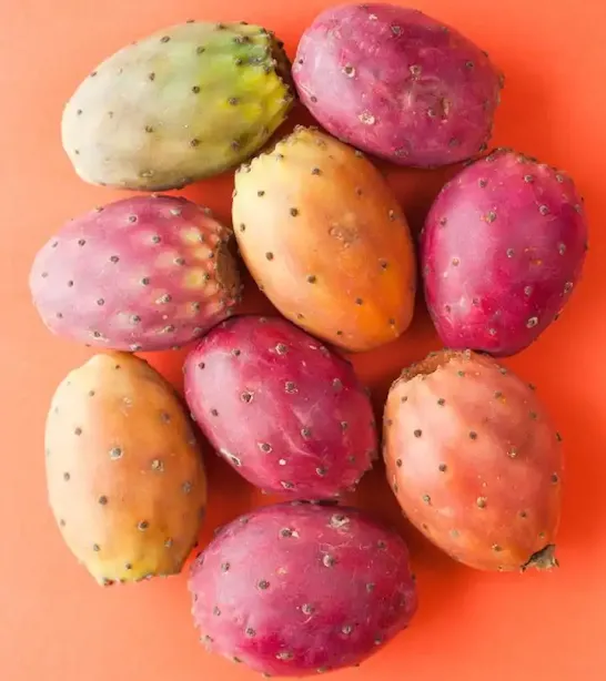 الفوائد الصحية لفاكهة التين الشوكي