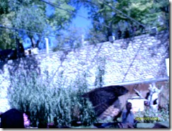 IMAG0088
