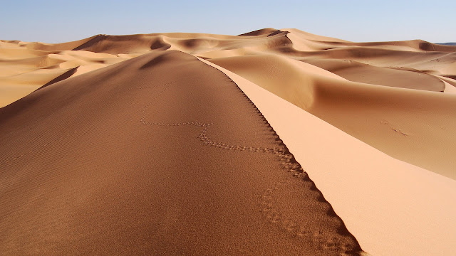 Desert, Sahara, Talentedjobless, Beauty