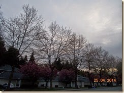 DSCN2472