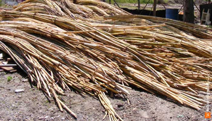 apa kekurangan dan keunggulan bambu kayu  dan rotan  