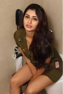 Actress Payal Rajput Latest Photoshoot Stills 