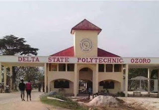 Pharmacy and polytechnic