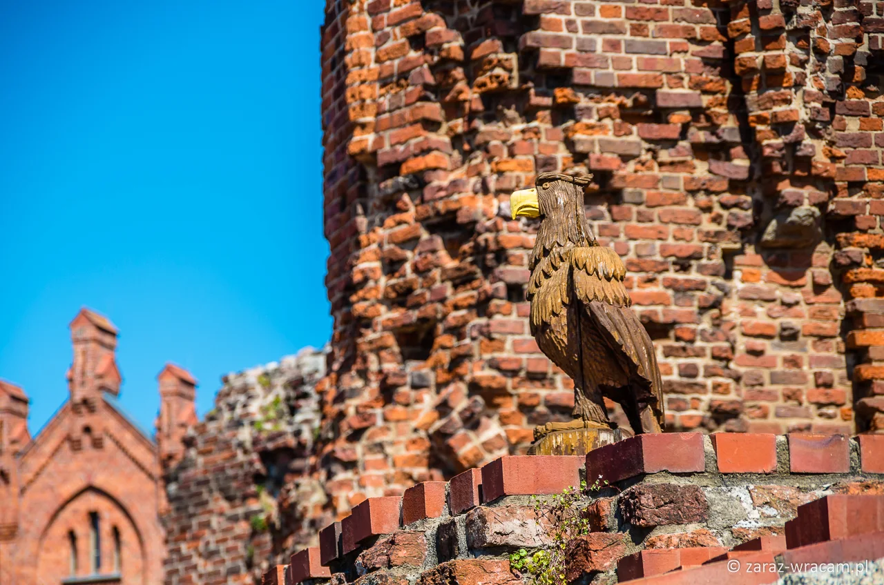 Ruiny zamku krzyżackiego Toruń