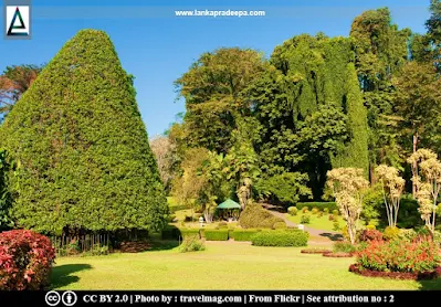 Royal Botanical Gardens, Peradeniya