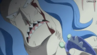 ワンピースアニメ 魚人島編 563話 フカボシ | ONE PIECE Episode 563