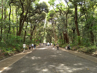 明治神宮 北参道