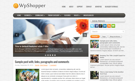 Business Solutions Blogger Template