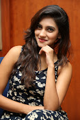 Sita Narayan new glam pics-thumbnail-1