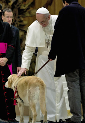 papa francisco abençoa cao guia