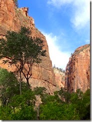 Zion National Pk 061