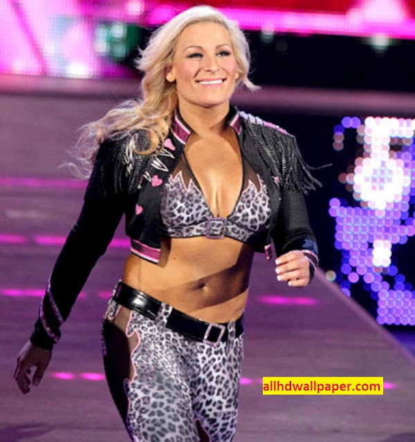 natalya neidhart net worth