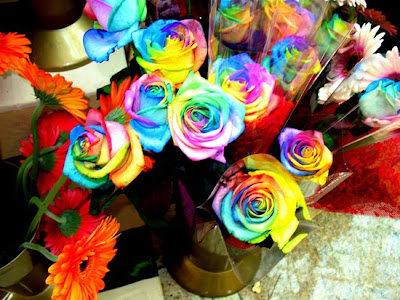 Rainbow Roses Are For Real Seen On www.coolpicturegallery.net