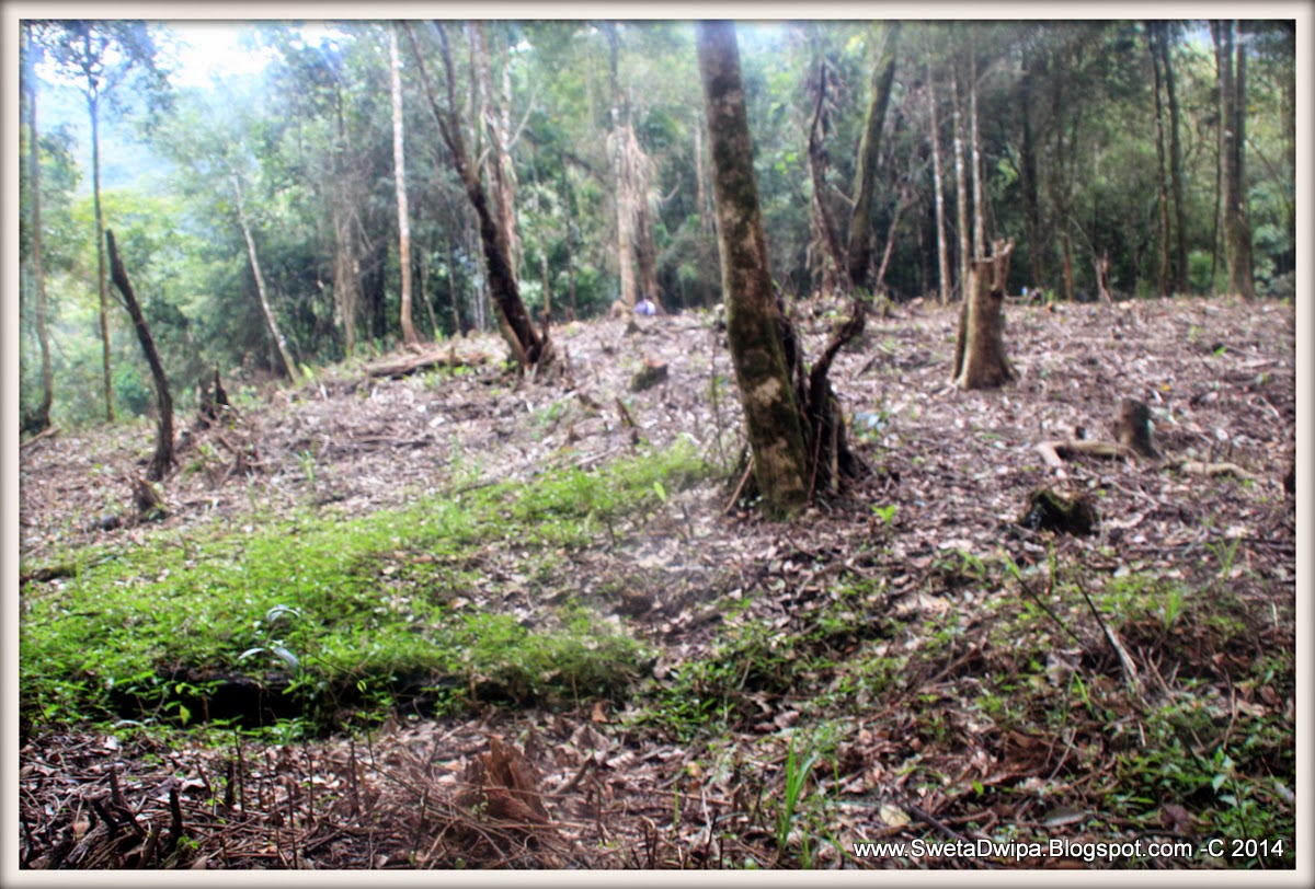 Sekar Rinonce: Situs Cemoro Pogog ; Candi Purba yang 