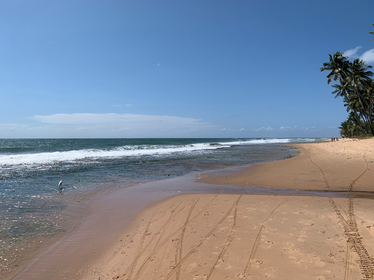 praia bombaça barra grande bahia