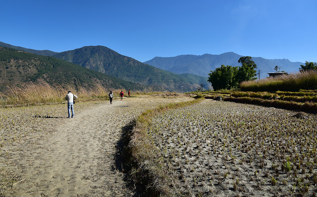 Chimi Lhakhang monastery