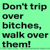 Don't trip over bitches, walk over them. 