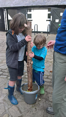 Crushing the apples with a big stick!