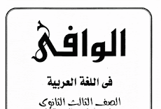 التعبير فى ليلة امتحان اللغة العربية للثانوية العامة 2016 مصطفى فريد