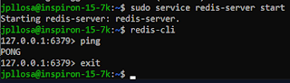 Spring Session with Redis