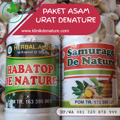 OBAT ASAM URAT DAN KOLESTEROL