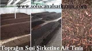 solucan al sat, solucan al sat ile para kazanma, toprağın sesi, solucan al sat nedir