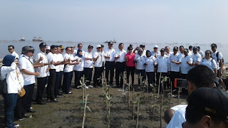 Kantor OP Tanjung Priok Bersama Mitra Tanam 1000 Pohon Bakau