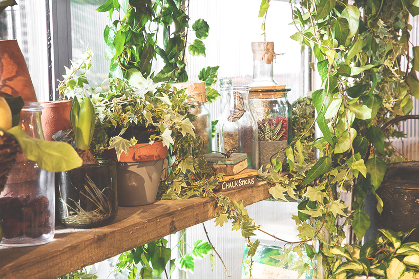 Outside In. Apartamento Pantone & Airbnb.Detalle.Plantas. Outside In Apartament.Pantone and Airbnb.Greenery.Detail