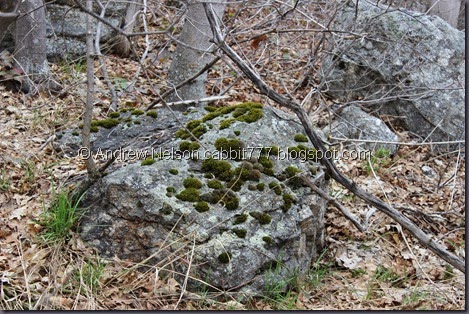 IMG_2404 IMG_2404