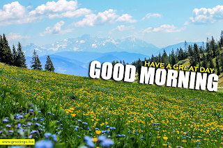 fresh Nature beautiful yellow flowers meadow images with morning wishes,mountains,pine trees,landscape,greetings text,English