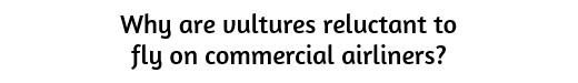 Why are vultures reluctant to fly on commercial airliners?