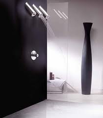 Elegant Shower Design