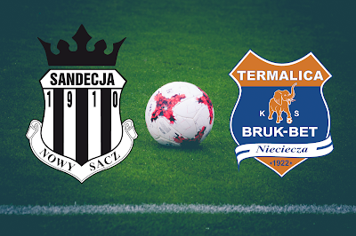 logo, drużyny, herby, Sandecja, Termalica