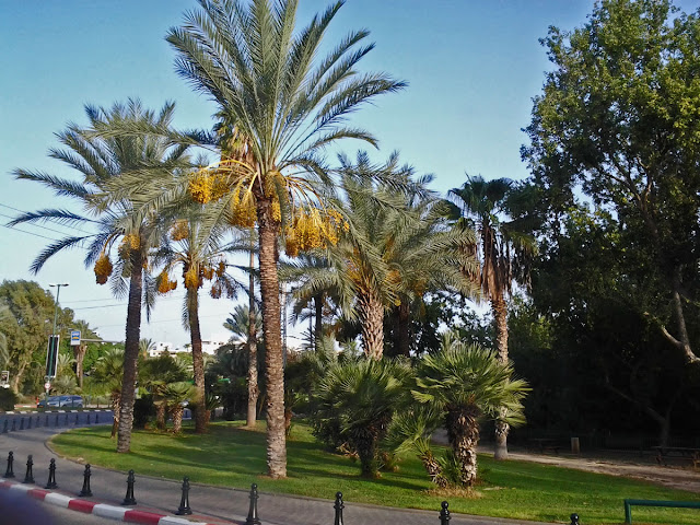 חדשות המזרח התיכון. צילום: ד"ר יוחאי סלע